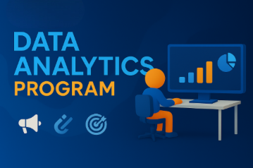 Data Analyst